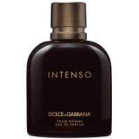 Мужские духи Dolce & Gabbana Intenso